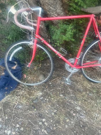 Used Raleigh Super Course 1980 Urban & Touring