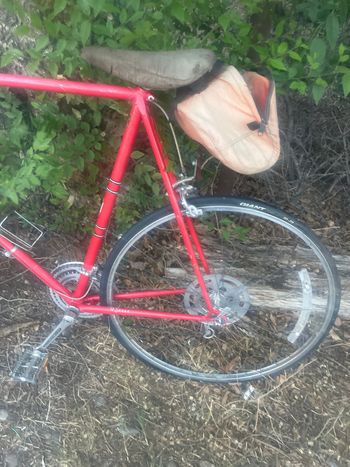 Used Raleigh Super Course 1980 Urban, Red — image 3 of 4