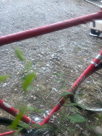 Used Raleigh Super Course 1980 Urban, Red — image 2 of 4