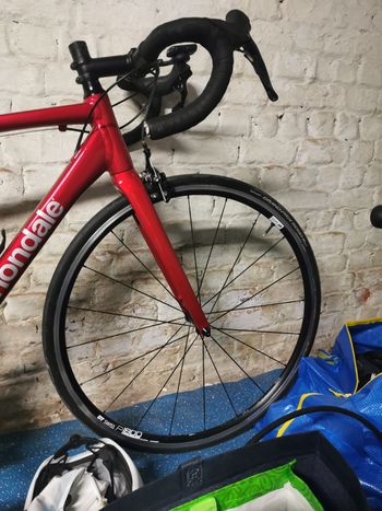 Used Cannondale CAAD Optimo 1 2024 Road & Gravel, Red — image 5 of 11