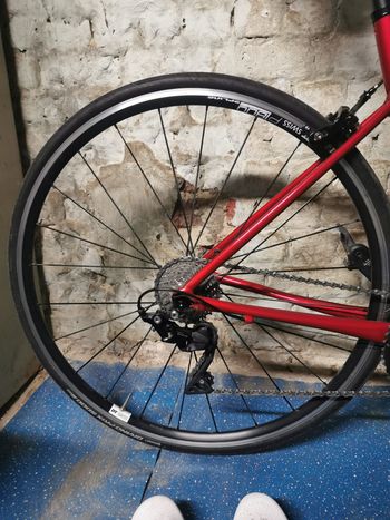 Used Cannondale CAAD Optimo 1 2024 Road & Gravel, Red — image 3 of 11