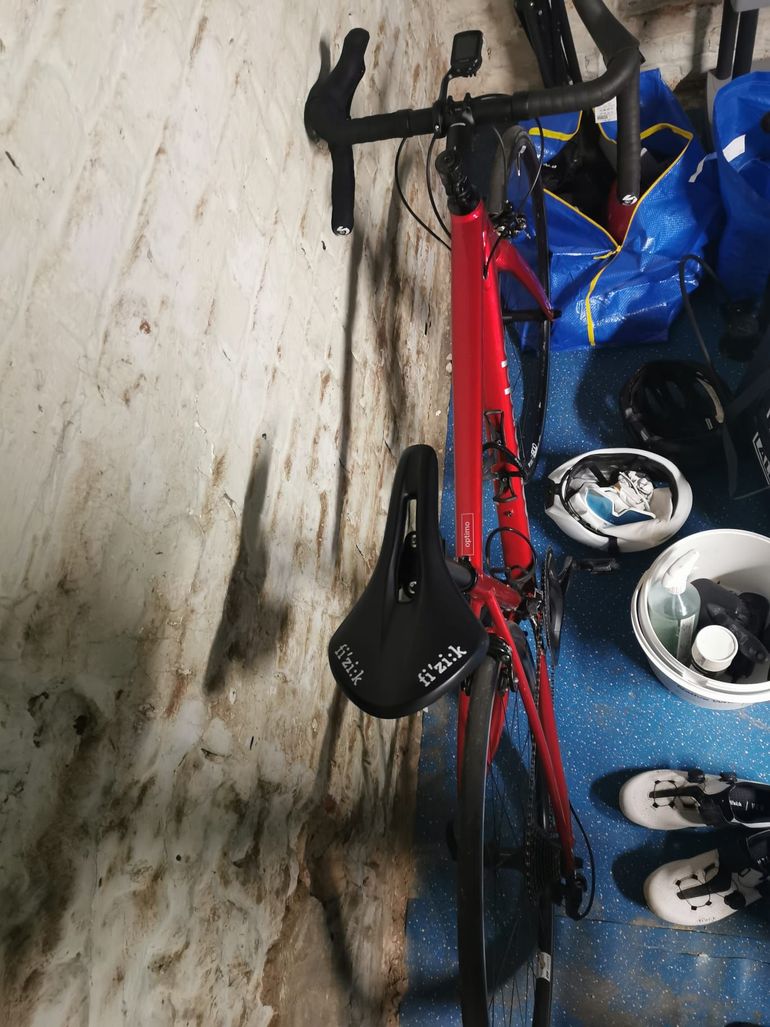 Used Cannondale CAAD Optimo 1 2024 Road & Gravel, Red — image 6 of 11