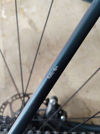 Used Scott Addict 40 2022 2022 Road & Gravel, Green — image 6 of 21