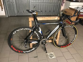 Used Pinarello Pinarello Montello Crono Record 10V 2006 Road & Gravel