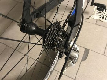 Used Pinarello Pinarello Montello Crono Record 10V 2006 Road & Gravel, Schwarz — image 4 of 6