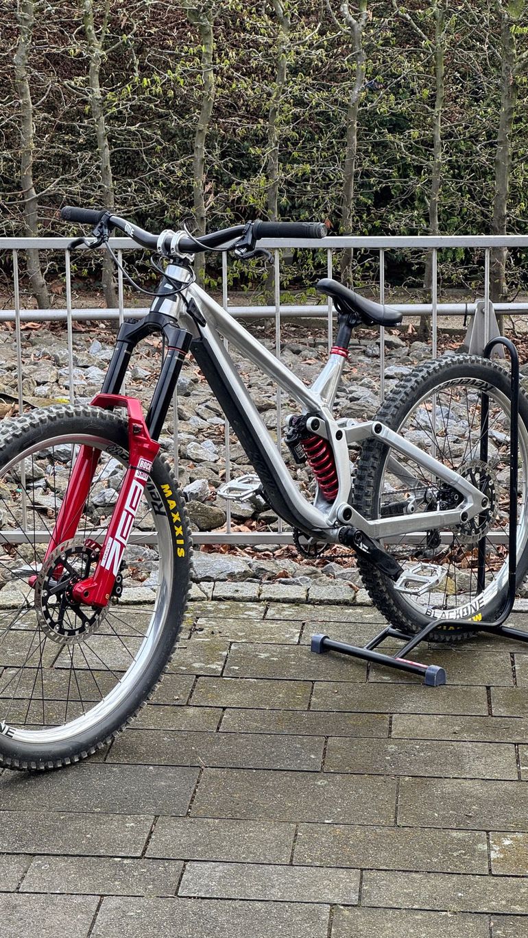 Used Rose Scrub DC 3 2026 2026 Mountainbike, Hellgrau, 29 — image 2 of 11