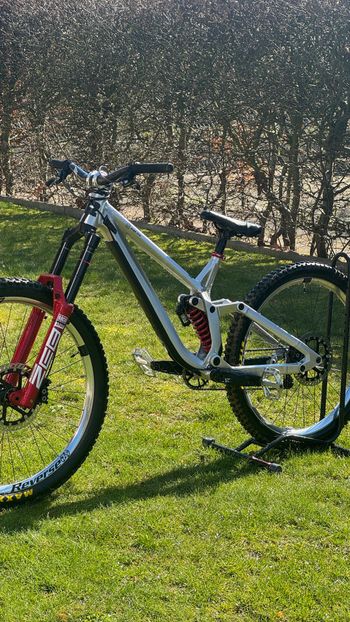 Used Rose Scrub DC 3 2026 2026 Mountainbike, Hellgrau, 29 — image 6 of 11