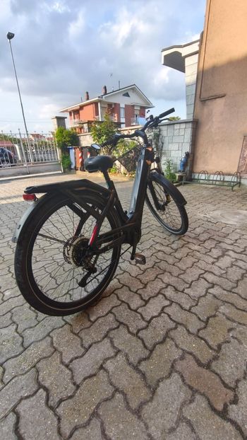 Used Bianchi e-Omnia C Type DEORE 2024 2024 Urban & Touring