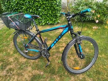 Used Koga Koga Rennrad Ultegra Ausstattung Fast Neu Gr 60 2024 Road & Gravel — image 16 of 20