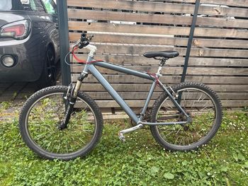 Used Koga Koga Rennrad Ultegra Ausstattung Fast Neu Gr 60 2024 Road & Gravel — image 15 of 20