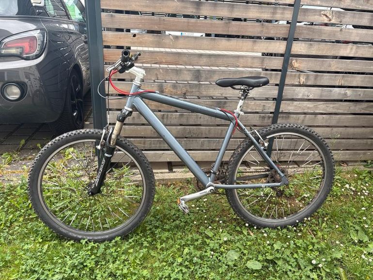 Used Koga Koga Rennrad Ultegra Ausstattung Fast Neu Gr 60 2024 Road & Gravel — image 15 of 20