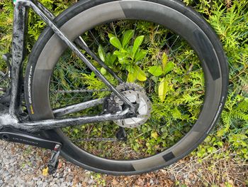 Used Colnago V4Rs Disc Ultegra Di2 8100 w/Fulcrum Racing Wind 400 Wheels 2023 2023 Road & Gravel — image 9 of 11