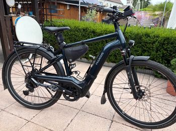 Used Pegasus Pegasus Premio EVO 11 "40 Years" 2023 Urban & Touring