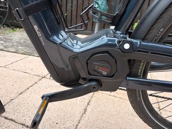 Used Pegasus Pegasus Premio EVO 11 "40 Years" 2023 Urban — image 5 of 6