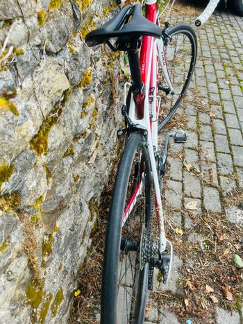 Used Trek Domane 4.5 Compact 2016 2016 Road & Gravel, White — image 6 of 8