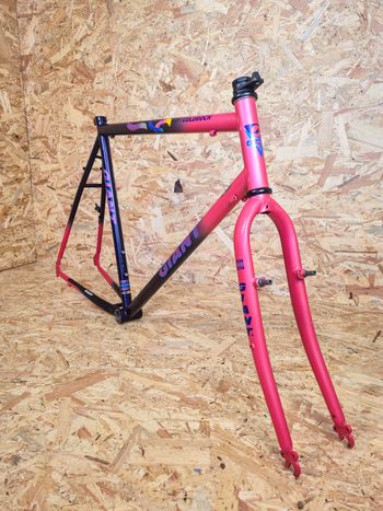 Used Giant Giant Coldrock 90s Vintage Retro MTB Frameset Frameset 1995 MTB