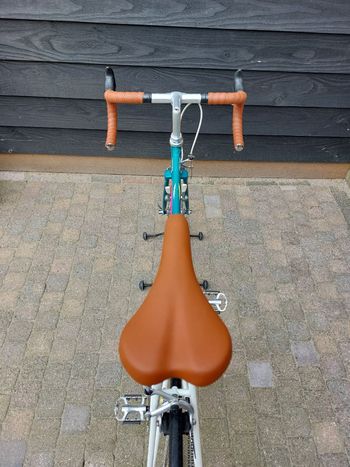 Used Giant Giant Custom Other Shimano 1989 Road & Gravel, Grün — image 12 of 20