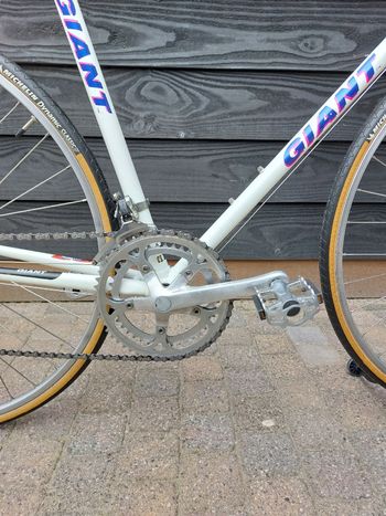 Used Giant Giant Custom Other Shimano 1989 Road & Gravel, Grün — image 3 of 20