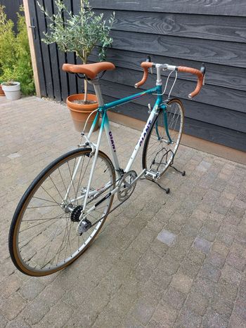 Used Giant Giant Custom Other Shimano 1989 Road & Gravel, Grün — image 20 of 20