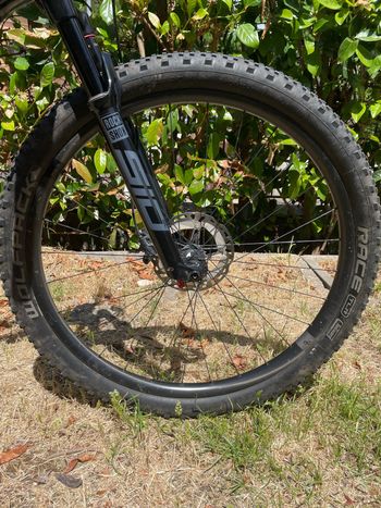 Used Cannondale Scalpel HT Carbon 3 2023 2023 Mountainbike, Black, 29 — image 5 of 14