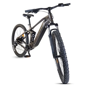 Used urban biker Urban Biker UB400B 720Wh Cues 10v 29′ 2025 Mountainbike, Hellgrau — image 2 of 4