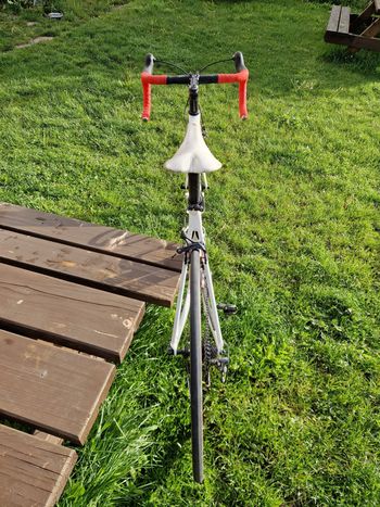 Used Cervélo Soloist Shimano Ultegra 2017 Road & Gravel, White — image 11 of 14