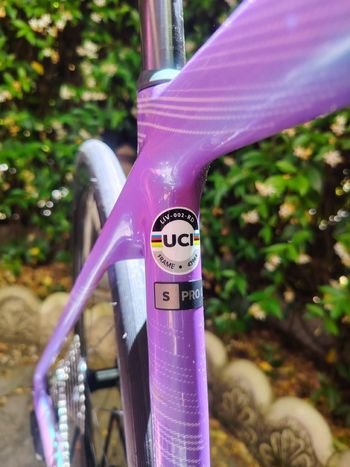 Used Liv Langma Advanced Pro Disc 0 Pro Compact 2024 2024 Road & Gravel, Morado — image 9 of 9