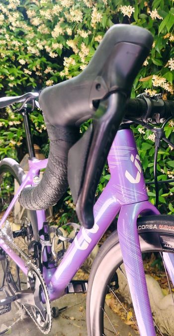 Used Liv Langma Advanced Pro Disc 0 Pro Compact 2024 2024 Road & Gravel, Morado — image 7 of 9