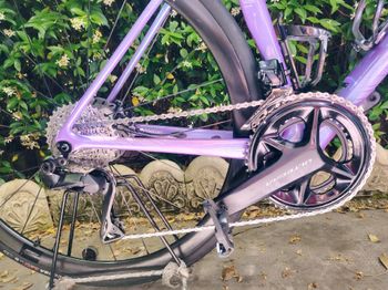 Used Liv Langma Advanced Pro Disc 0 Pro Compact 2024 2024 Road & Gravel, Morado — image 3 of 9