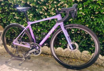 Used Liv Langma Advanced Pro Disc 0 Pro Compact 2024 2024 Carretera y gravel
