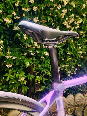 Used Liv Langma Advanced Pro Disc 0 Pro Compact 2024 2024 Road & Gravel, Morado — image 8 of 9