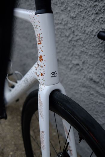 Used WIAWIS Radical SRAM Red eTap AXS 2023 Road & Gravel, White — image 15 of 15