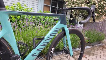 Used Canyon Aeroad CF SLX 7 Disc eTap 2023 2023 Road & Gravel, Green — image 3 of 17