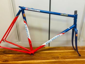 Used Eddy Merckx Custom Frameset 1990 Road & Gravel