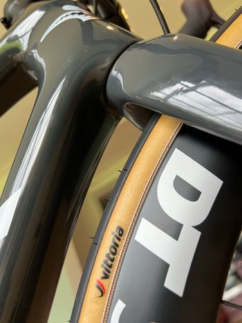 Used Trek Émonda SLR H1 Frameset 2019 Frameset 2019 Road & Gravel — image 4 of 5