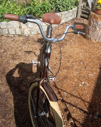 Used Electra Townie Urban — image 3 of 3
