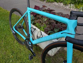 Used Bianchi Specialissima - Ultegra 2022 2022 Road & Gravel, Verde — image 2 of 5