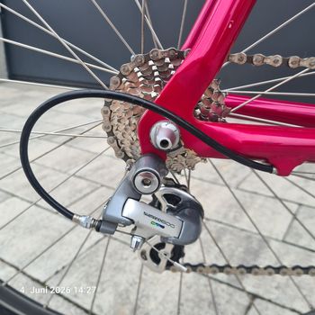 Used Principia 650 SC 1993 Road & Gravel, Rot — image 3 of 18