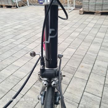 Used Principia 650 SC 1993 Road & Gravel, Rot — image 12 of 18