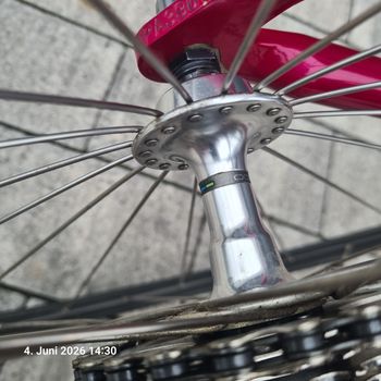 Used Principia 650 SC 1993 Road & Gravel, Rot — image 17 of 18