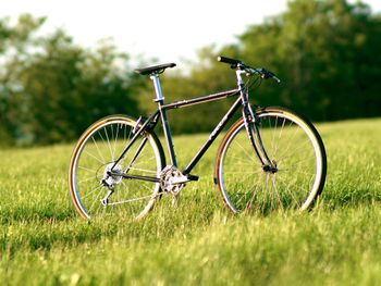 Used Focus Crater Lake 28" Flatbar Retro Gravelbike 1996 Road & Gravel, Light Gray — image 2 of 12