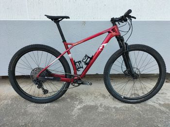 Used Raymon Raymon Custom SRAM SX Eagle 2024 MTB