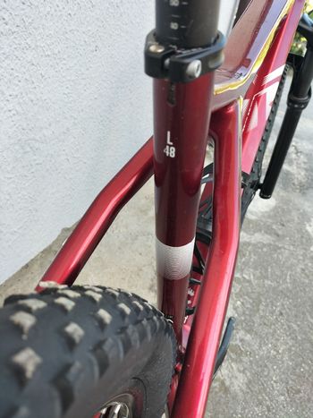 Used Raymon Raymon Custom SRAM SX Eagle 2024 Mountainbike, Red — image 5 of 5