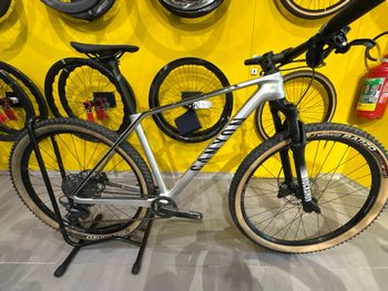 Used Canyon Exceed CF 8 2022 2022 Mountainbike, Light Gray, 29 — image 2 of 7