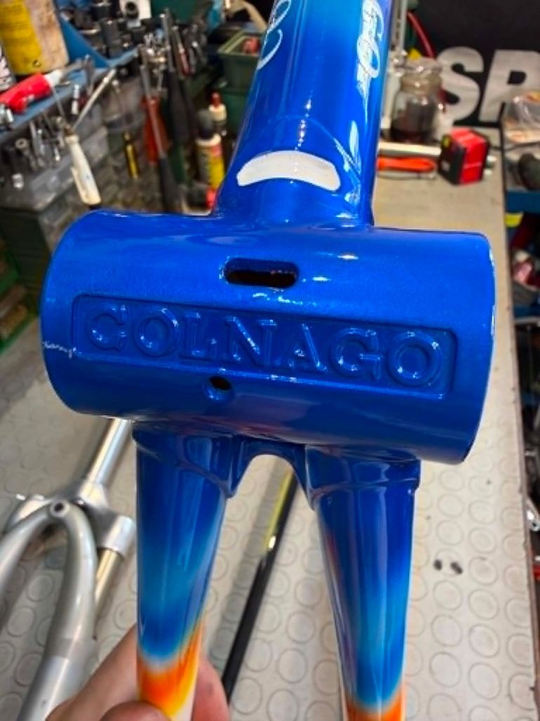 Used Colnago Tecnos. Colorazione MAPEI. Forcella Parigi Roubaix Frameset 1990 Road & Gravel, Blau — image 11 of 19