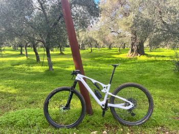 Used ROCKRIDER 29" Full Suspension Carbon Mountain Bike XC 920 S LTD SRAM GX AXS 2021 2021 Mountainbike — image 7 of 8