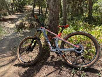 Used Canyon Strive CFR 2021 2021 MTB