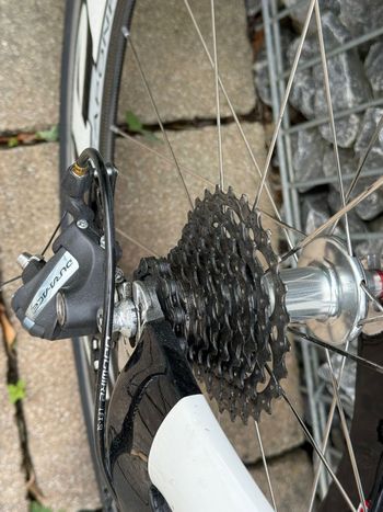 Used Argon 18 Argon 18 Custom Shimano Dura Ace 2010 Road & Gravel, White — image 3 of 8