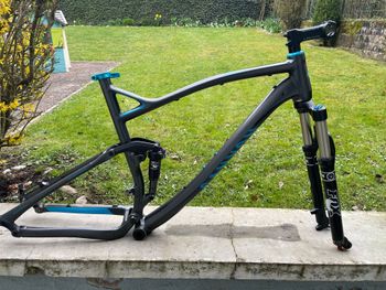 Used Canyon Nerve Frameset 2010 MTB