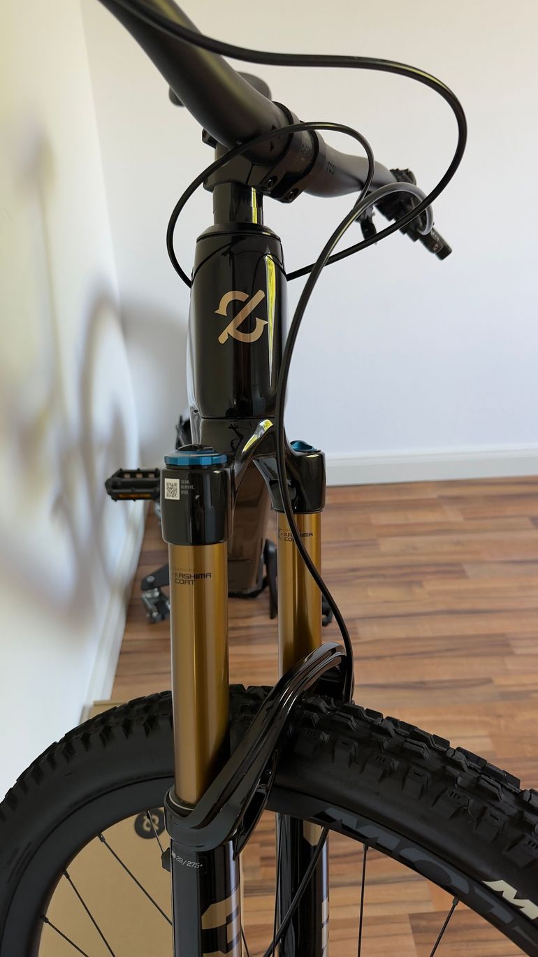 Used Amflow Dji PL Carbon 2025 2025 Mountainbike, Black, 29 — image 5 of 9
